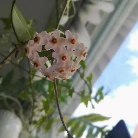 Bright City-centre With View And Parking - Haaris Апартаменты Тампере