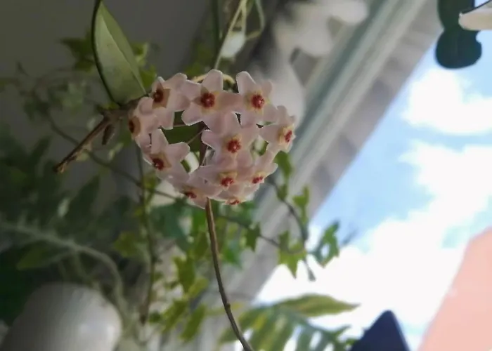 Bright City-centre With View And Parking - Haaris Апартаменты Тампере